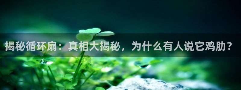凯发国际app下载：揭秘循环扇：真相大揭秘，为什么有人说它鸡肋？
