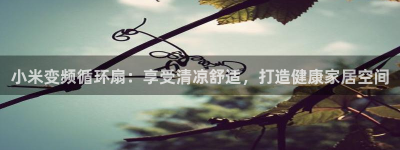 凯发K8旗舰厅：小米变频循环扇：享受清凉舒适，打造健康家居空间