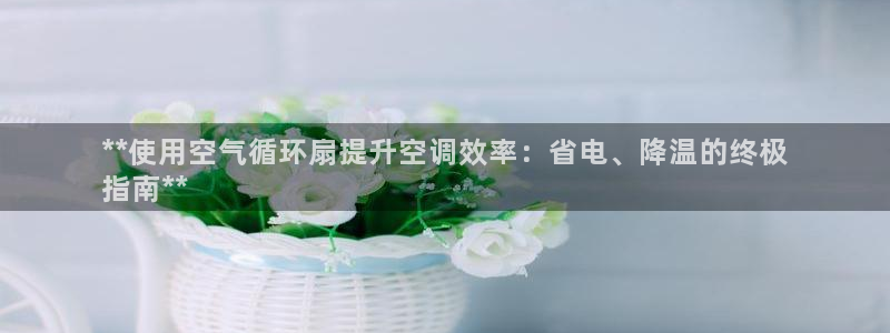 凯发k8国际下载：**使用空气循环扇提升空调效率：省电、降温的终极
指南**