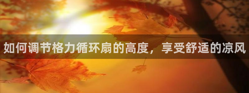 凯发国际app下载：如何调节格力循环扇的高度，享受舒适的凉风