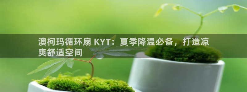 凯发a600丶cc官网首页：澳柯玛循环扇 KYT：夏季降温必备，打造凉
爽舒适空间