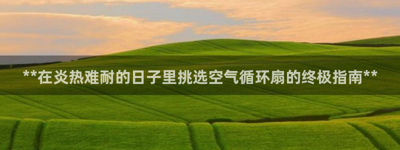 凯发k8官网下载客户端中心：**在炎热难耐的日子里挑选空气循环扇的终极指南**