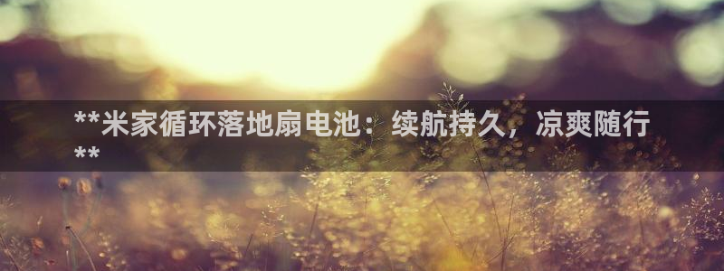 凯发k8国际app：**米家循环落地扇电池：续航持久，凉爽随行
**