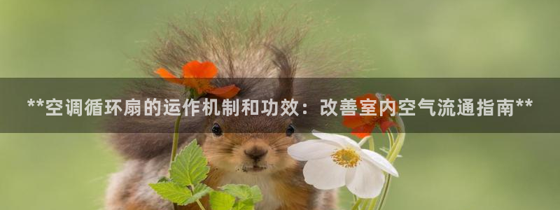 凯发手机官网客户端：**空调循环扇的运作机制和功效：改善室内空气流通指南**