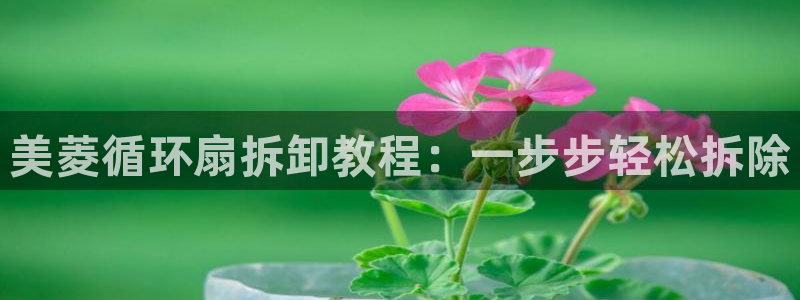凯发手机唯一：美菱循环扇拆卸教程：一步步轻松拆除