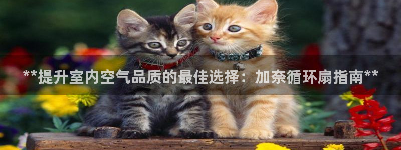 凯发k8旗舰店：**提升室内空气品质的最佳选择：加奈循环扇指南**
