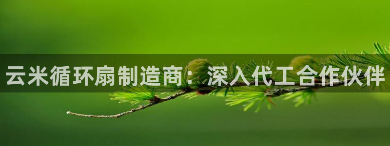 k8凯发国际首页：云米循环扇制造商：深入代工合作伙伴