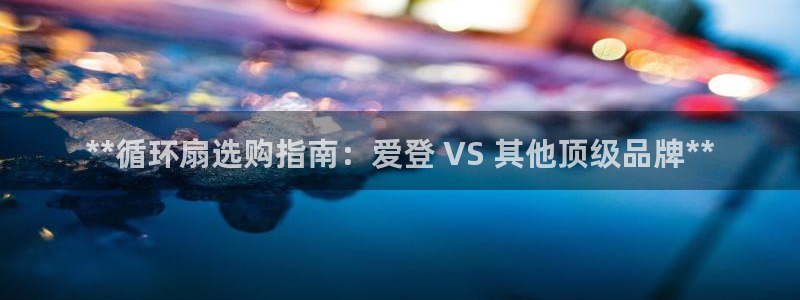 l凯发国际官网：**循环扇选购指南：爱登 VS 其他顶级品牌**