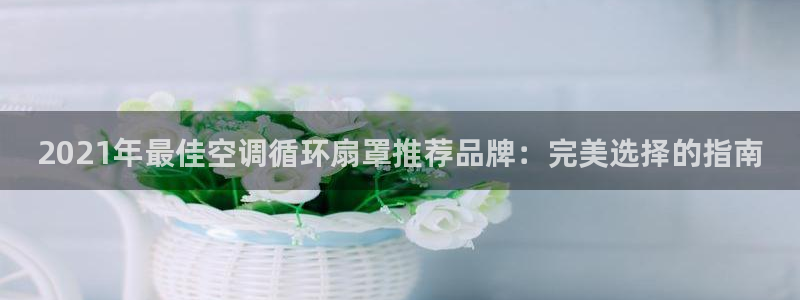 凯发k8娱乐官网旗舰厅：2021年最佳空调循环扇罩推荐品牌：完美选择的指南