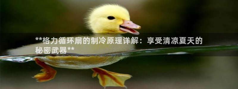 凯发k8国际版官网：**格力循环扇的制冷原理详解：享受清凉夏天的
秘密武器**