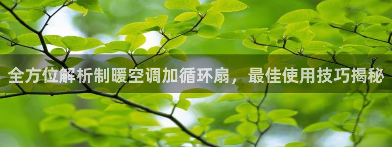 凯发a600丶cc官网首页：全方位解析制暖空调加循环扇，最佳使用技巧揭秘