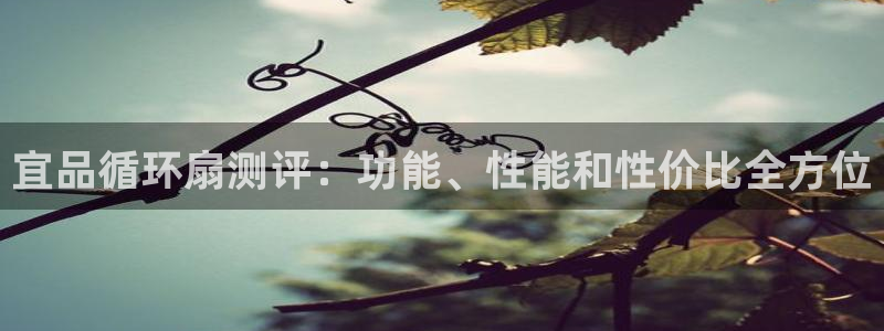 凯发k873：宜品循环扇测评：功能、性能和性价比全方位