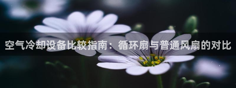 凯发k8娱乐官网最新版本：空气冷却设备比较指南：循环扇与普通风扇的对比