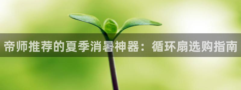 凯发K8登录入口：帝师推荐的夏季消暑神器：循环扇选购指南