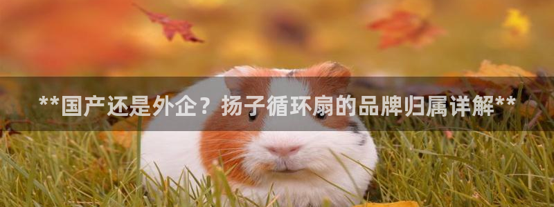 凯发k8客户端：**国产还是外企？扬子循环扇的品牌归属详解**
