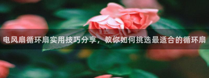 凯发平台k8：电风扇循环扇实用技巧分享，教你如何挑选最适合的循环扇