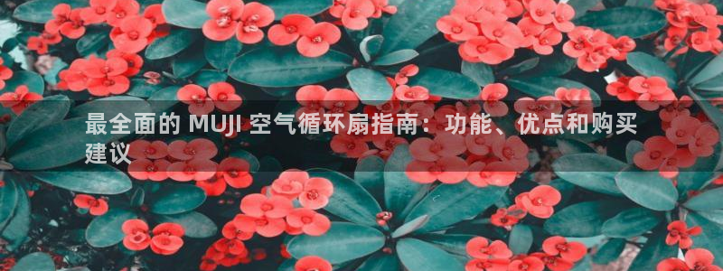 凯发官网登录地址陆地：最全面的 MUJI 空气循环扇指南：功能、优点和购买
建议