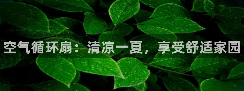 凯发k8官方网娱乐官方真：空气循环扇：清凉一夏，享受舒适家园