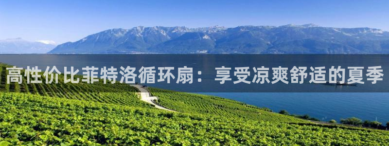 凯发k8娱乐官网地址app下载 | 首页：高性价比菲特洛循环扇：享受凉爽舒适的夏季
