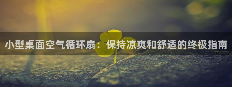 凯发k8娱乐平台能提现吗：小型桌面空气循环扇：保持凉爽和舒适的终极指南