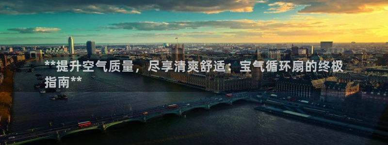 凯发k8旗舰店：**提升空气质量，尽享清爽舒适：宝气循环扇的终极
指南**