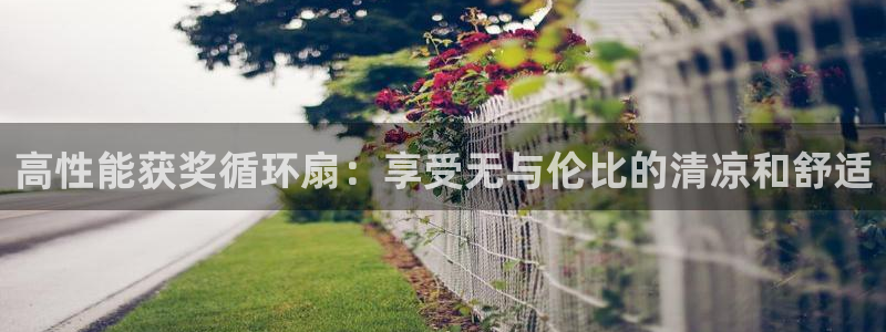 凯发k8国际真人娱乐旗舰厅：高性能获奖循环扇：享受无与伦比的清凉和舒适