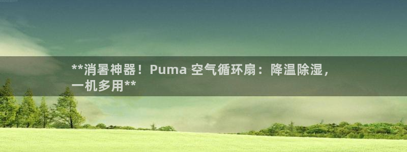 凯发k8娱乐要访问kf6819：**消暑神器！Puma 空气循环扇：降温除湿，
一机多用**