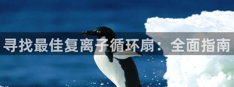凯发k8娱乐旗舰app下载：寻找最佳复离子循环扇：全面指南