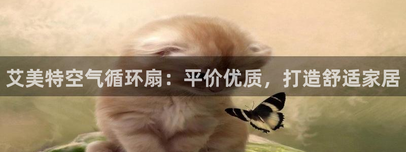 凯发手机客户端下载：艾美特空气循环扇：平价优质，打造舒适家居