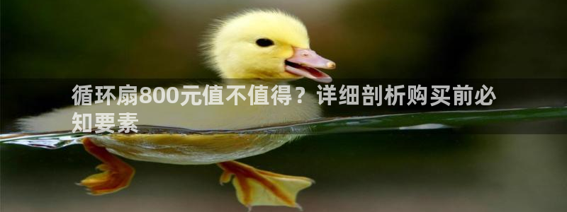 凯发一触即发：循环扇800元值不值得？详细剖析购买前必
知要素
