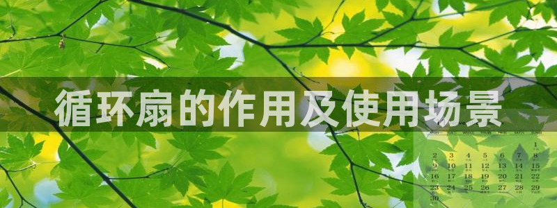 凯发平台8：循环扇的作用及使用场景
