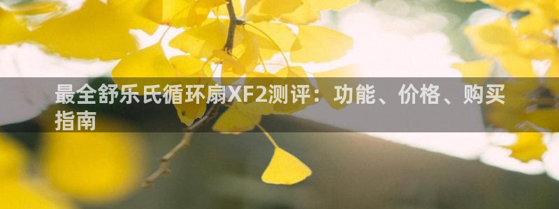 凯发k8娱乐平台：最全舒乐氏循环扇XF2测评：功能、价格、购买
指南