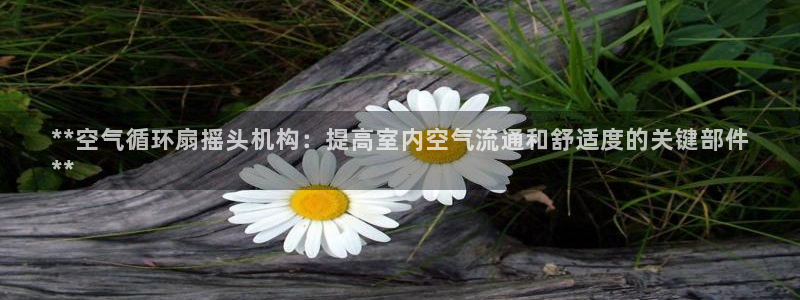 凯发k8客户端：**空气循环扇摇头机构：提高室内空气流通和舒适度的关键部件
**