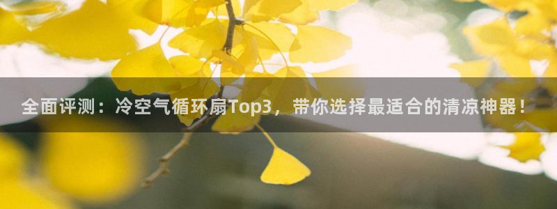 凯发官网登录地址陆地：全面评测：冷空气循环扇Top3，带你选择最适合的清凉神器！