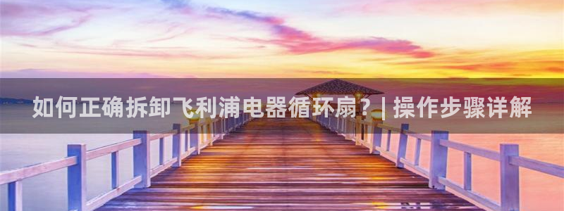 凯发k8国际真人版可靠送38元：如何正确拆卸飞利浦电器循环扇？| 操作步骤详解