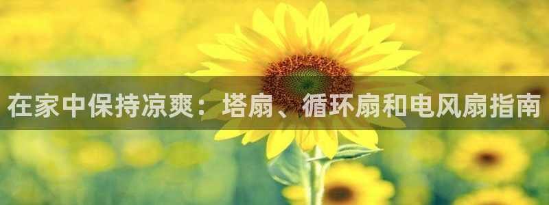 凯发k8娱乐官方下载：在家中保持凉爽：塔扇、循环扇和电风扇指南
