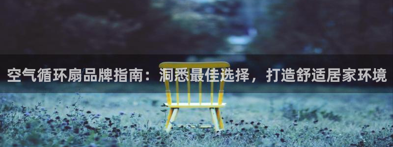 凯发k8国际app：空气循环扇品牌指南：洞悉最佳选择，打造舒适居家环境