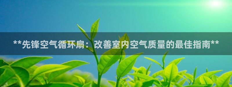 凯发k8国际手机网页：**先锋空气循环扇：改善室内空气质量的最佳指南**