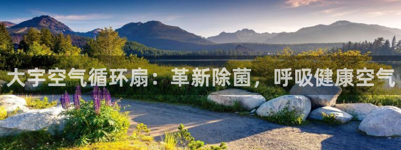 凯发k8是不是真的可靠：大宇空气循环扇：革新除菌，呼吸健康空气