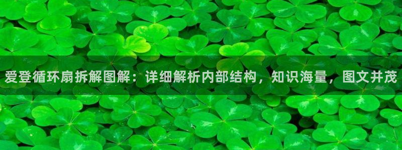 凯发手机官网：爱登循环扇拆解图解：详细解析内部结构，知识海量，图文并茂