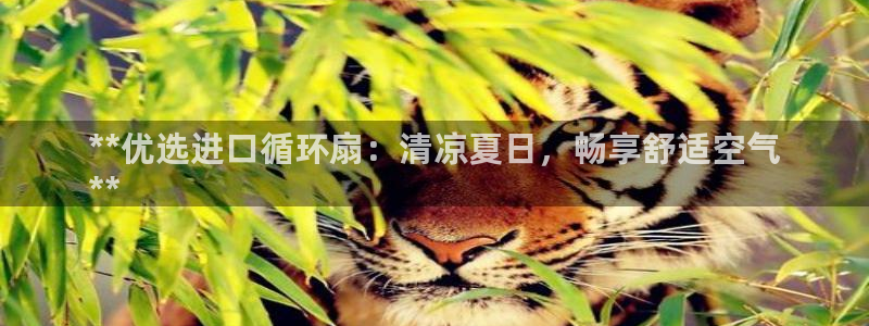 凯发k8娱乐现在还有吗：**优选进口循环扇：清凉夏日，畅享舒适空气
**