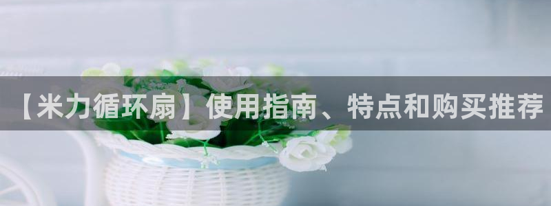 凯发国际可靠送38元：【米力循环扇】使用指南、特点和购买推荐