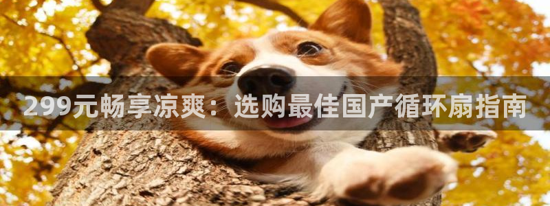 凯发k8娱乐是国内平台?：299元畅享凉爽：选购最佳国产循环扇指南