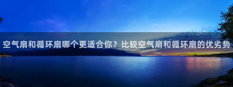 凯发国际平台登录：空气扇和循环扇哪个更适合你？比较空气扇和循环扇的优劣势
