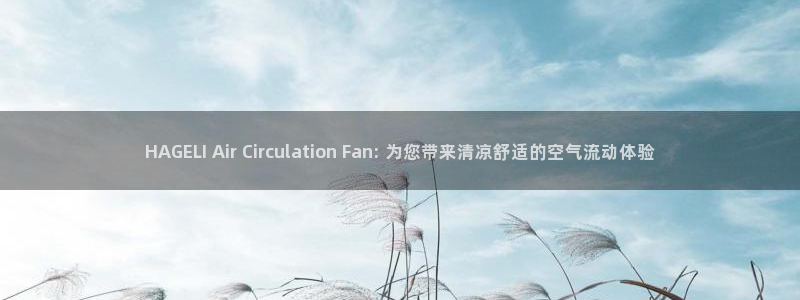 凯发国际可靠送38元：HAGELI Air Circulation Fan: 为您带来清凉舒适的空气流动体验