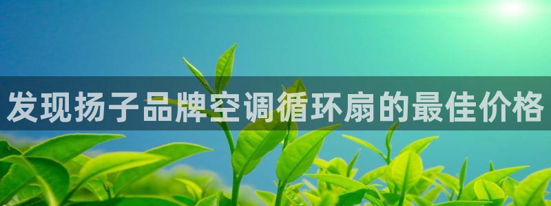 凯发k8旗舰厅app下载可靠送38元是真的吗：发现扬子品牌空调循环扇的最佳价格