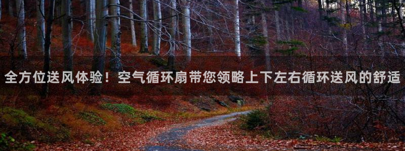 凯发k8娱乐官网最新版本：全方位送风体验！空气循环扇带您领略上下左右循环送风的舒适