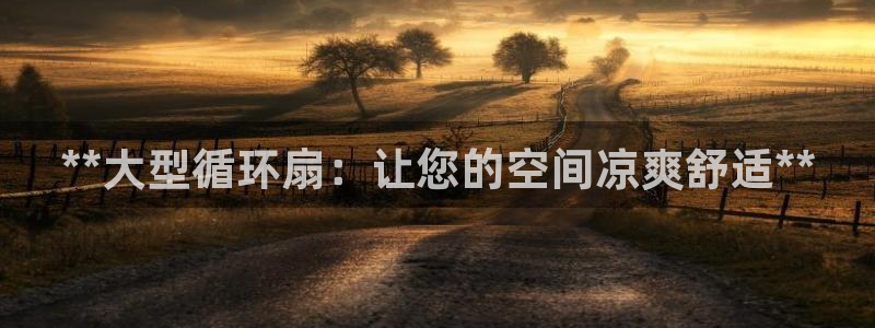 凯发k8登录首页：**大型循环扇：让您的空间凉爽舒适**