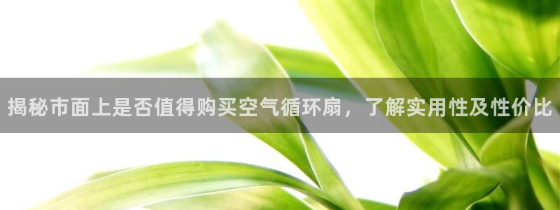 凯发官网入口首页：揭秘市面上是否值得购买空气循环扇，了解实用性及性价比
