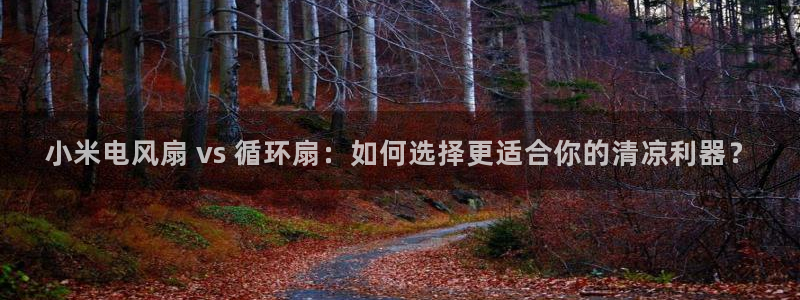 凯发k8ag85856：小米电风扇 vs 循环扇：如何选择更适合你的清凉利器？